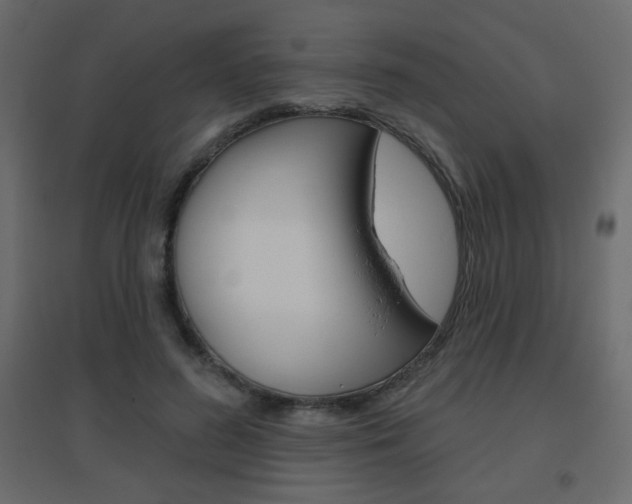 X0000096630596200802050936