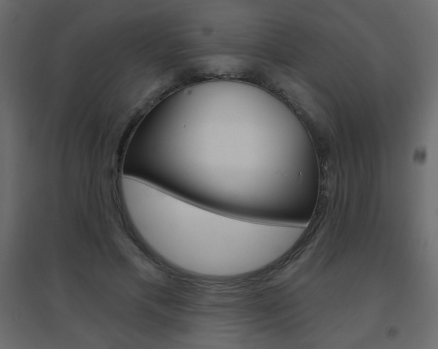X0000096630597200802050936