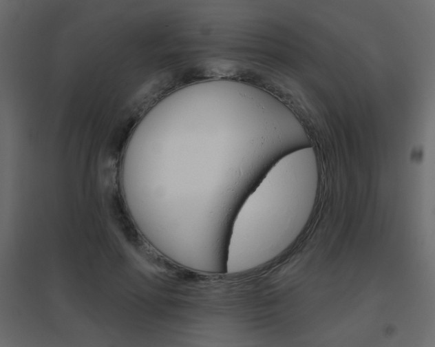 X0000096630598200802050936