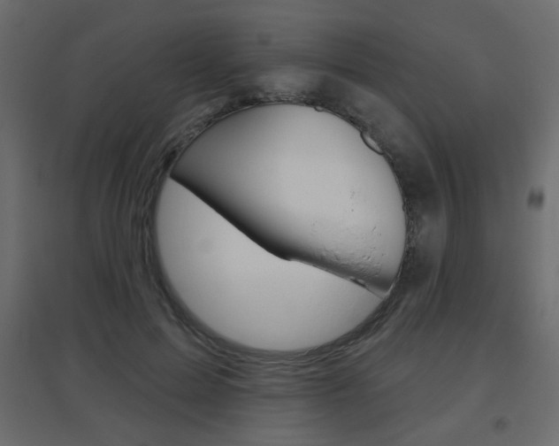 X0000096630599200802050936