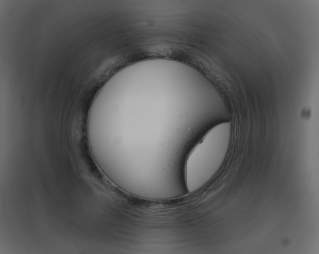 X0000096630600200802050936