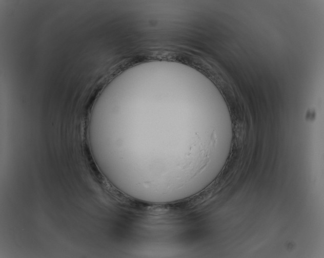 X0000096630602200802050936
