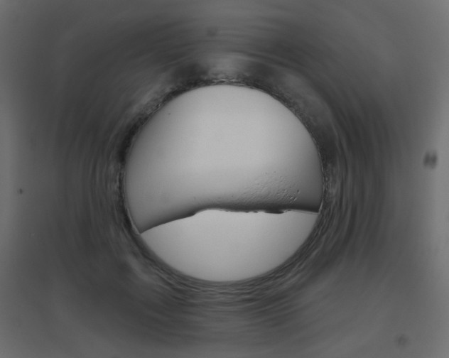 X0000096630603200802050936