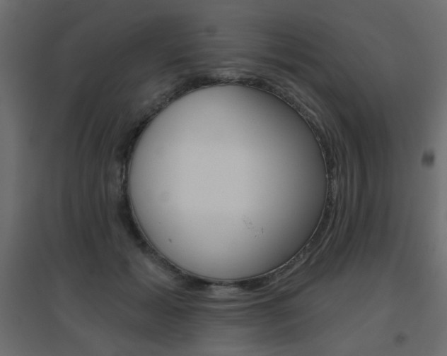 X0000096630605200802050936