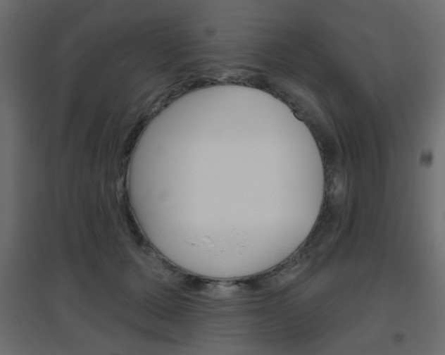 X0000096630607200802050936