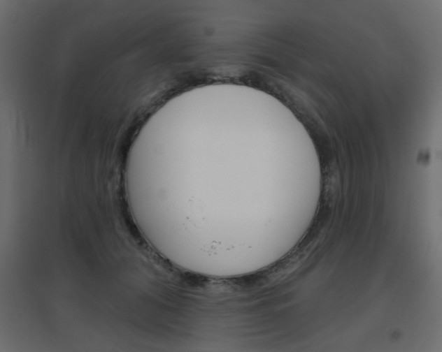 X0000096630608200802050936