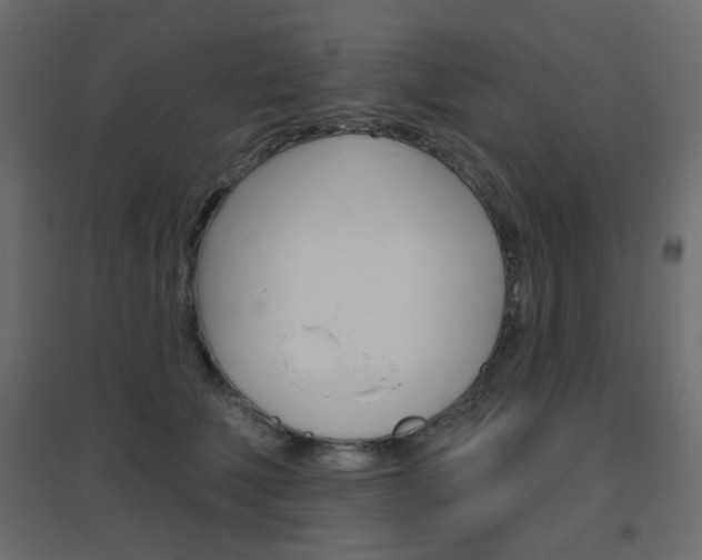 X0000096630610200802050936