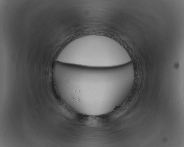 X0000096630612200802050936