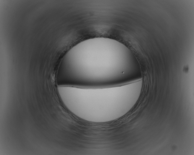 X0000096630613200802050936