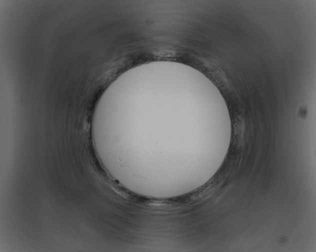 X0000096630614200802050936