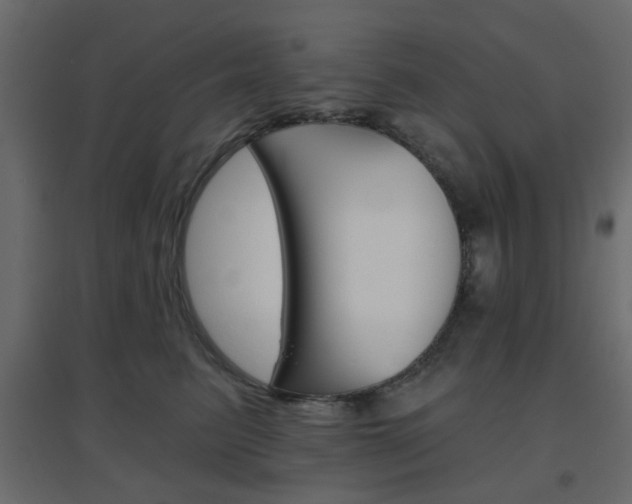 X0000096630615200802050936