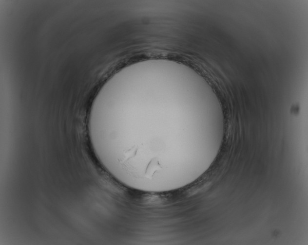 X0000096630616200802050936
