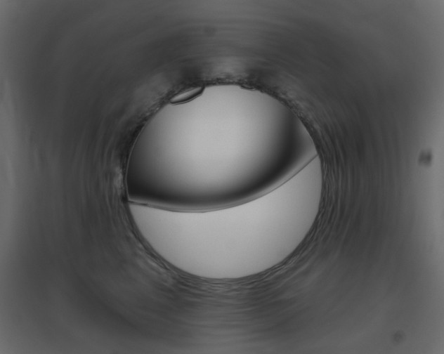 X0000096630617200802050936
