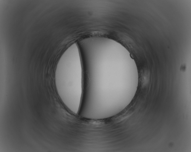 X0000096630619200802050935