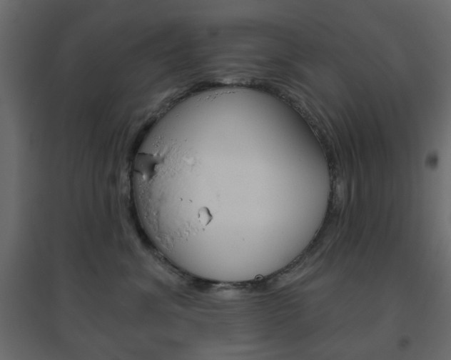 X0000096630620200802050935