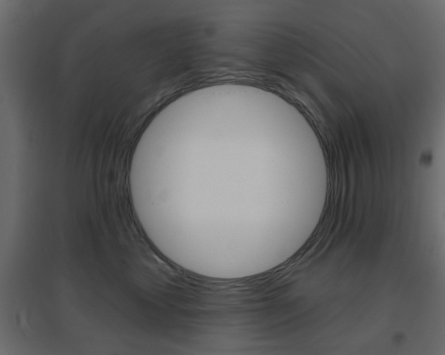 X0000096630621200802050935