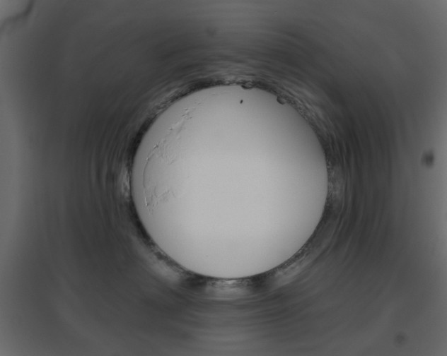 X0000096630622200802050935
