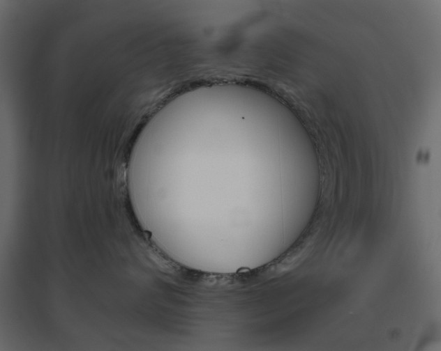 X0000096630624200802050935