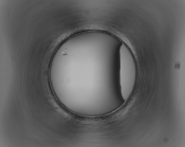 X0000096630625200802050935