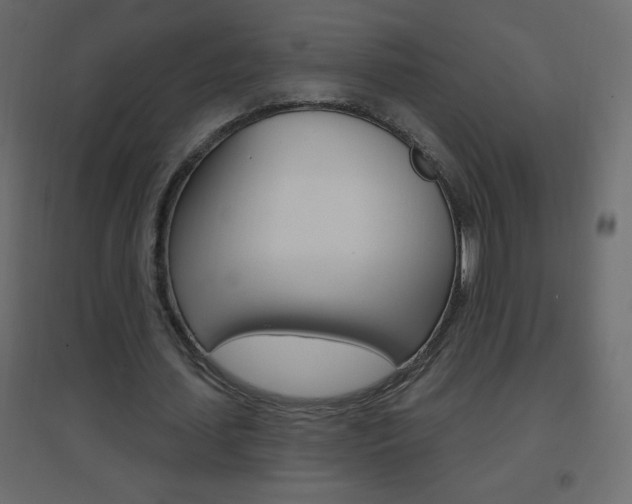 X0000096630627200802050935