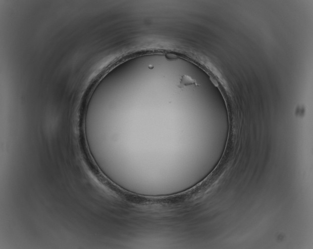 X0000096630629200802050935
