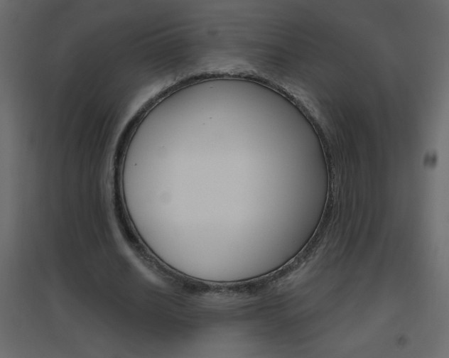 X0000096630630200802050935