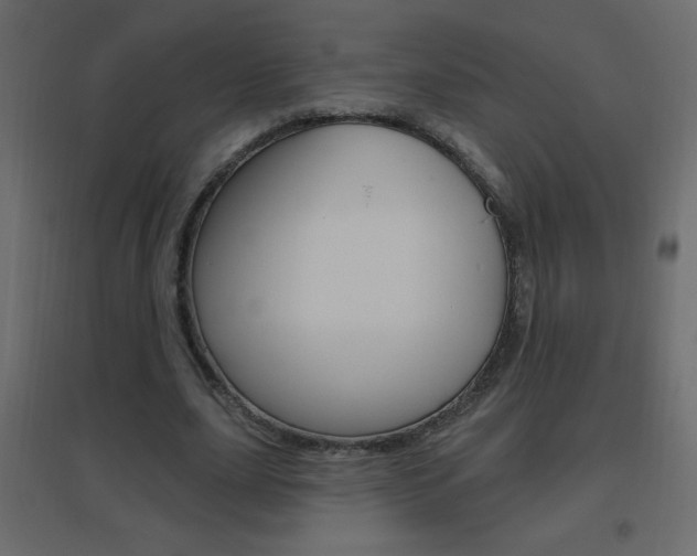 X0000096630631200802050935