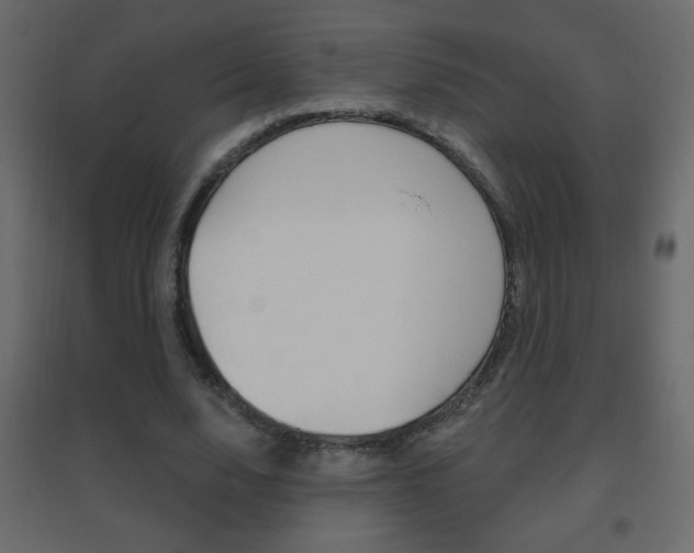 X0000096630632200802050935