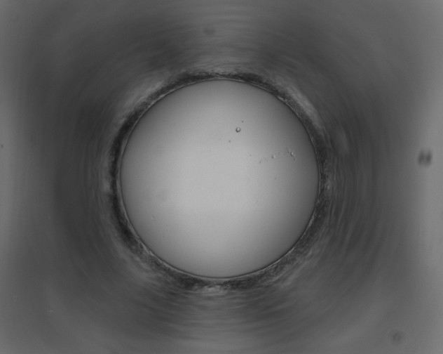 X0000096630635200802050935