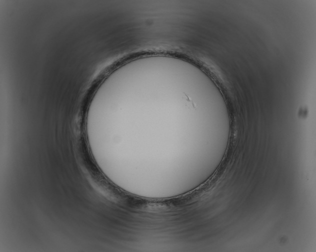 X0000096630636200802050935