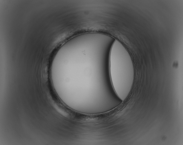 X0000096630638200802050935