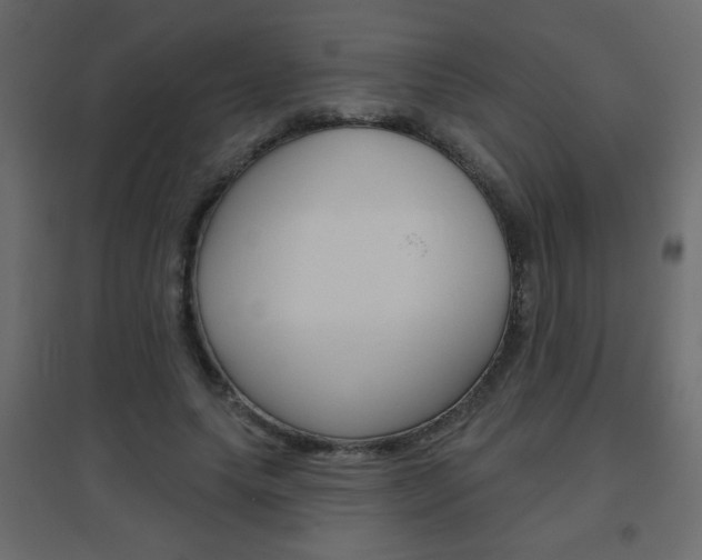 X0000096630639200802050935