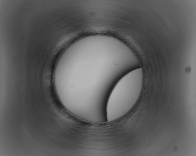 X0000096630640200802050935