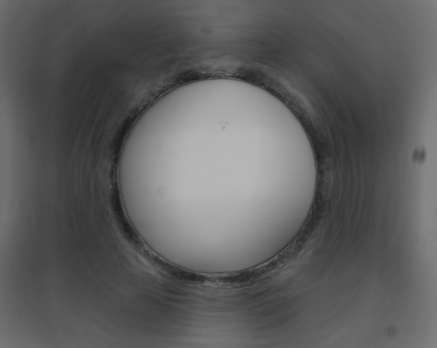 X0000096630641200802050935