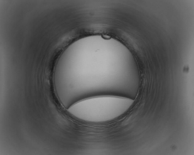 X0000096630643200802050935