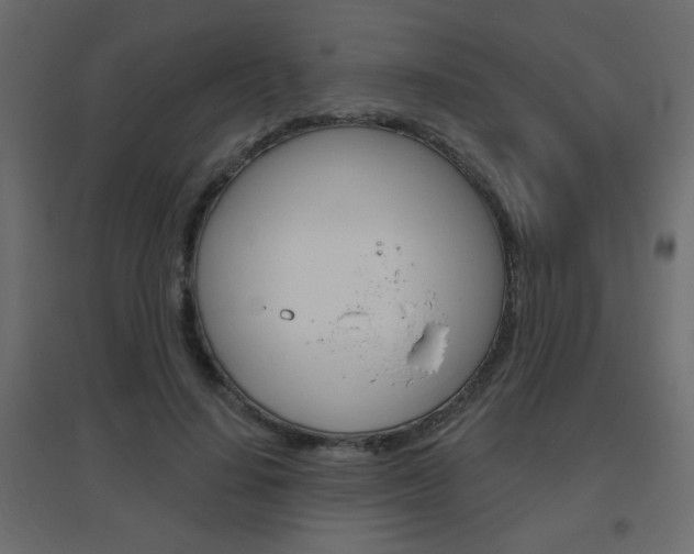 X0000096630644200802050935