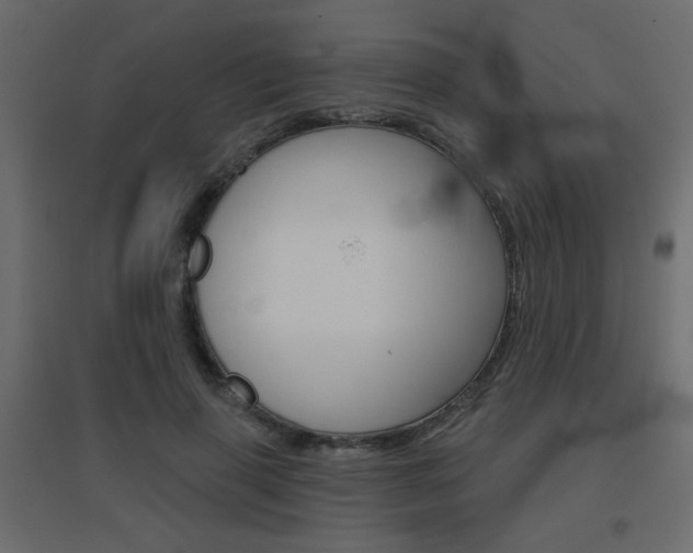 X0000096630645200802050935