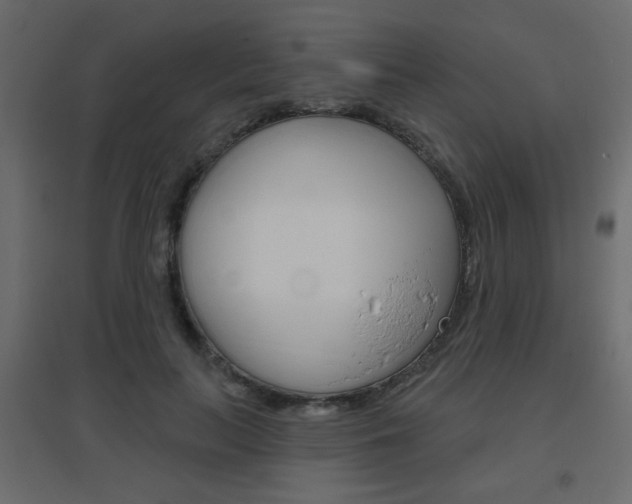 X0000096630647200802050935