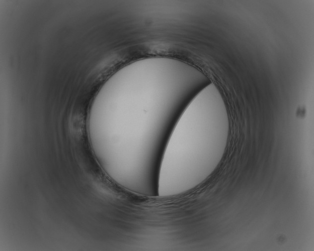 X0000096630648200802050935