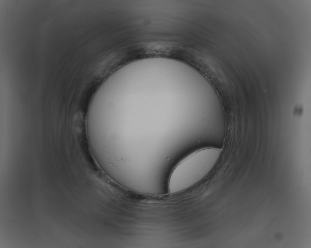 X0000096630649200802050935