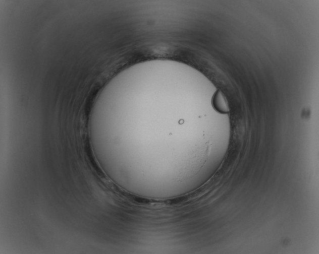 X0000096630651200802050935