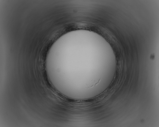 X0000096630653200802050935