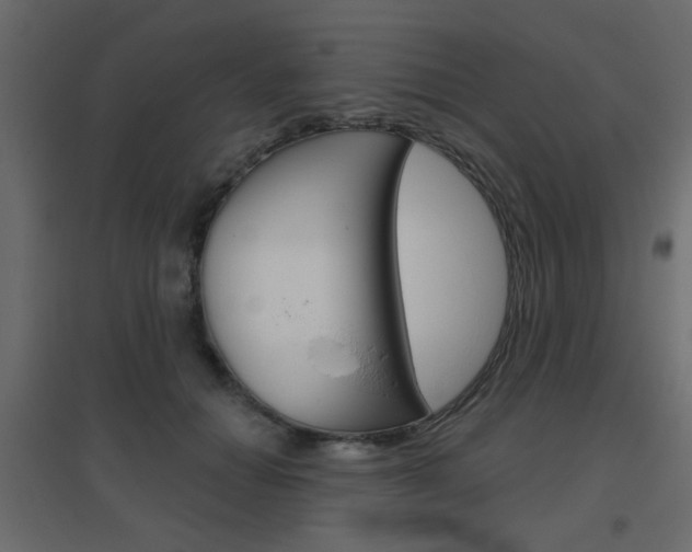 X0000096630654200802050935