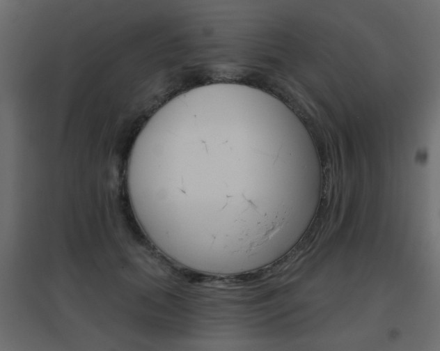 X0000096630655200802050935