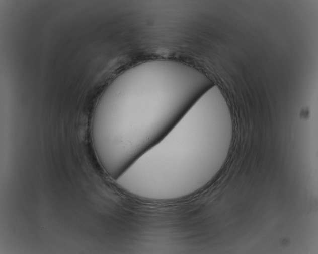 X0000096630656200802050935