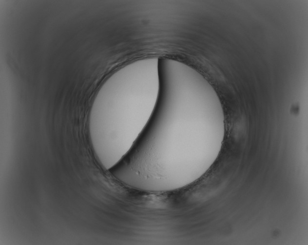 X0000096630660200802050935
