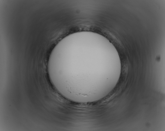 X0000096630661200802050935