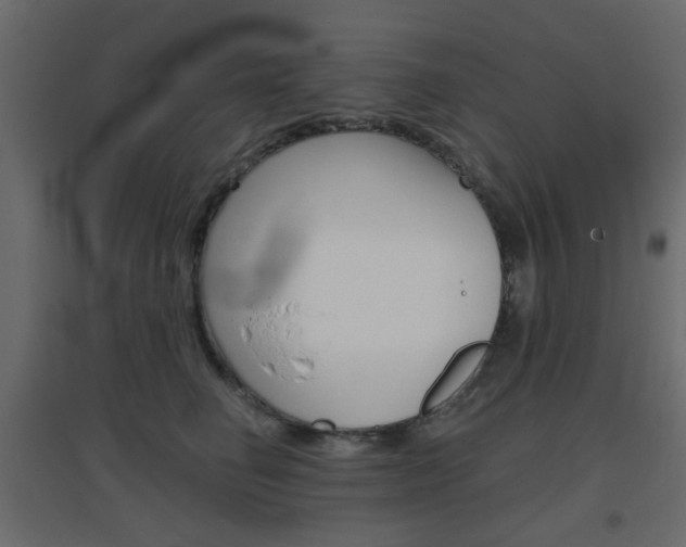 X0000096630662200802050935