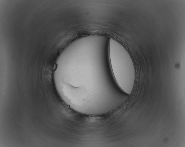 X0000096630664200802050935