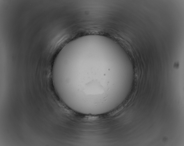 X0000096630665200802050935